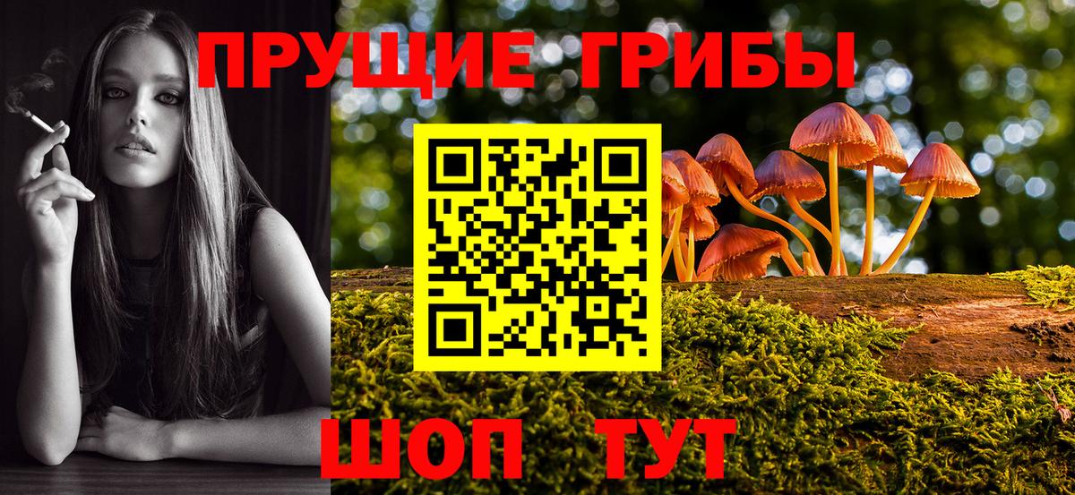 Псилоцибиновые грибы ЛСД  Псилоцибиновые грибы ЛСД  Вход с VPN  Феодосия 