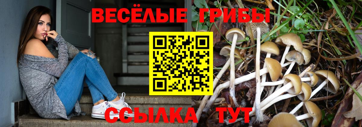 Галлюциногенные грибы GOLDEN TEACHER Феодосия